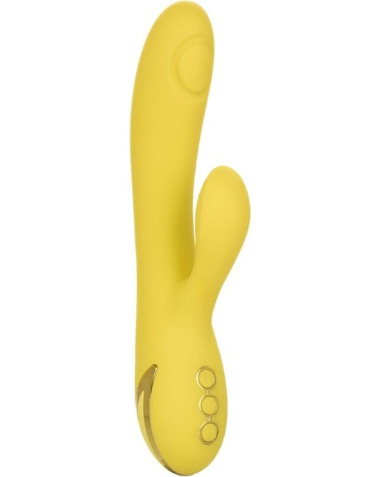 Calexotics SAN DIEGO SEDUCTION