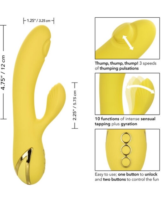 Calexotics SAN DIEGO SEDUCTION