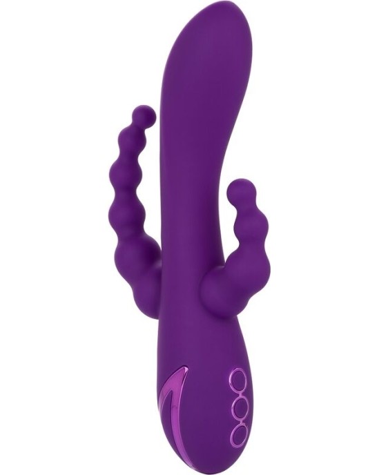 Calexotics LONG BEACH BOOTYLICIOUS PURPLE