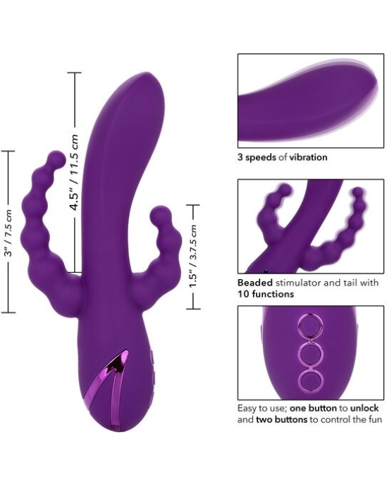 Calexotics LONG BEACH BOOTYLICIOUS PURPLE