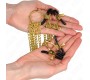 Kink Nipple Grip KINK - 4 NIPPLE AND CLIT CLAMPS ADJUSTABLE GOLD