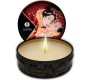 Shunga Candles SHUNGA - MINI CARESS BY CANDLELIGHT DISPLAY MASSAGE CANDLES 24 UNITS
