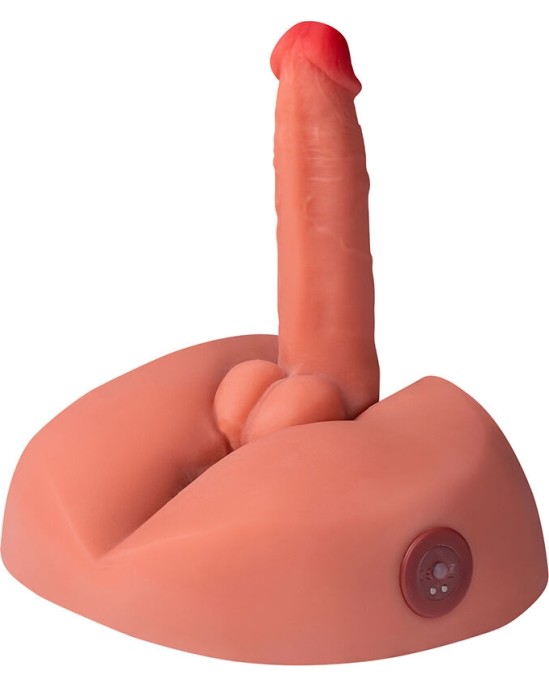 Xise HONEY REALISTIC DILDO MASTURBATOR WITH VIBRATION 25 CM