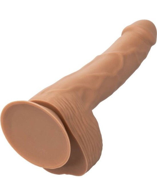 Calexotics SILICONE STUDS 20.32 CM BROWN