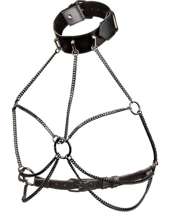 Calexotics EUPHORIA PLUS SIZE MULTI CHAIN COLLAR HARNESS