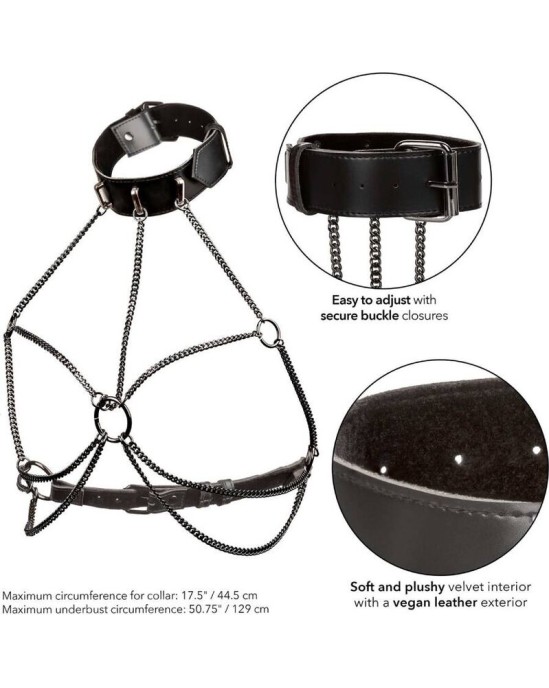 Calexotics EUPHORIA PLUS SIZE MULTI CHAIN COLLAR HARNESS