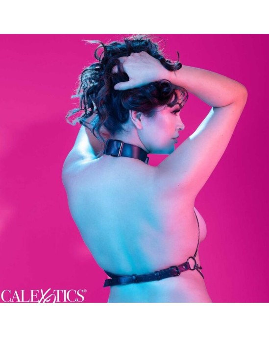 Calexotics EUPHORIA PLUS SIZE MULTI CHAIN COLLAR HARNESS