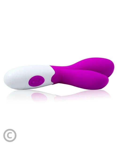 Pretty Love Flirtation Vibrators