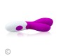 Pretty Love Flirtation Vibrators