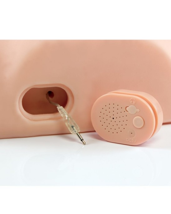 Pdx Elite Sieviešu masturbators - Vīrietis