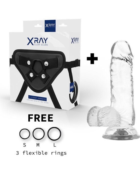 X Ray XRAY HARNESS + CLEAR COCK WITH BALLS 15.5CM X 3.5CM