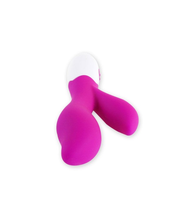 Pretty Love Flirtation Vibrators