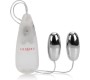 California Exotics CALEX VIBRATING BULLETS SILVER DUO