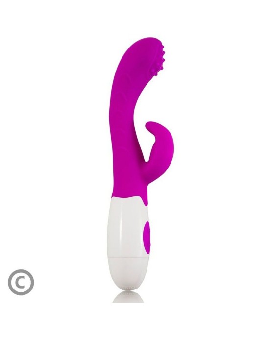 Pretty Love Flirtation Vibrators violets