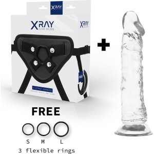 X Ray XRAY HARNESS + CLEAR COCK 21CM X 4CM