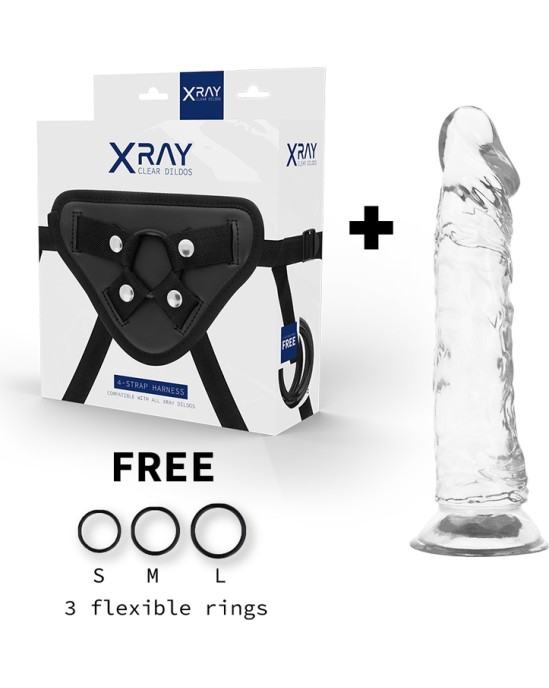 X Ray XRAY HARNESS + CLEAR COCK 21CM X 4CM