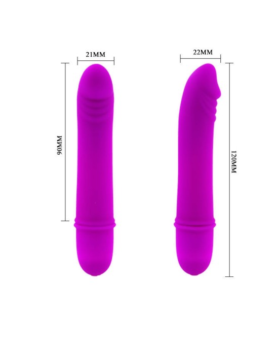 Pretty Love Flirtation Vibrators violets