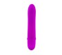 Pretty Love Flirtation Vibrators violets