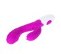 Pretty Love Flirtation ANDRE VIBRATOR WITH CLIT STIMULATION