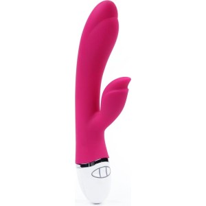 Lovetoy Vibe Dreamer II USB Rose Red