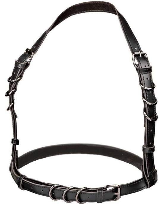 Calexotics EUPHORIA HALTER BUCKLE HARNESS BLACK
