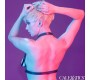 Calexotics EUPHORIA HALTER BUCKLE HARNESS BLACK