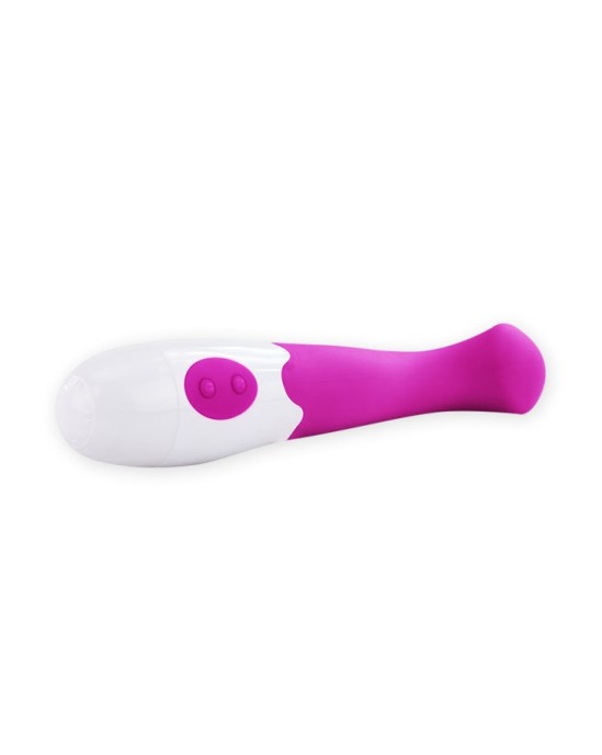 Pretty Love Flirtation Vibrators violets