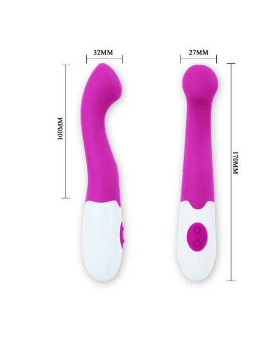 Pretty Love Flirtation Vibrators violets