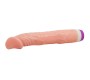 Baile Vibrators 22 CM