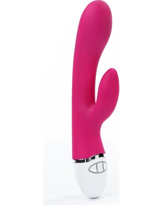 Lovetoy Vibe Dreamer USB Rose Red