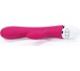 Lovetoy Vibe Dreamer USB Rose Red