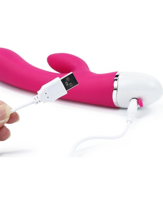 Lovetoy Vibe Dreamer USB Rose Red
