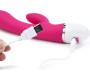 Lovetoy Vibe Dreamer USB Rose Red