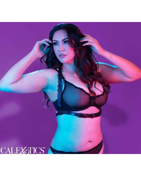 Calexotics EUPHORIA PLUS SIZE HALTER BUCKLE HARNESS BLACK