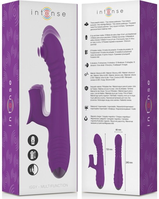 Intense Fun INTENSE - IGGY MULTIFUNCTION RECHARGEABLE VIBRATOR UP & DOWN WITH CLITORAL STIMULATOR violets