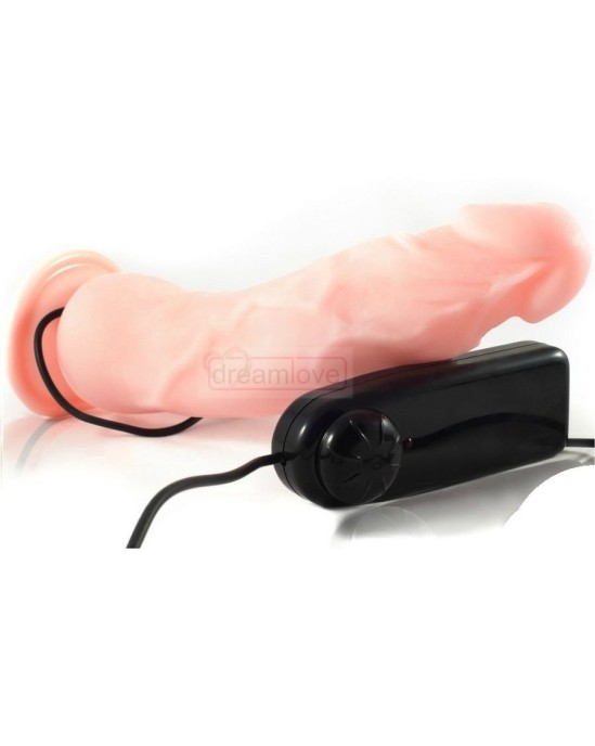 Baile Vibrators ROUGH MULTI SPEED DENSITY VIBRATING