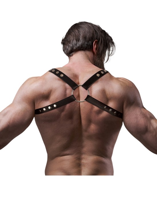 Fetish Submissive Attitude MEN'S ECO-LEATHER BACK HARNESS