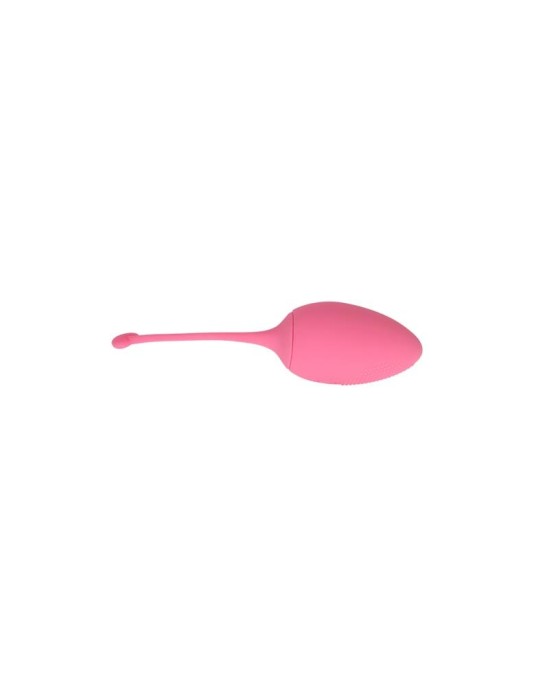 Chisa Vibrating Egg Remote Control Sweety Teaser USB 5.7