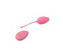 Chisa Vibrating Egg Remote Control Sweety Teaser USB 5.7