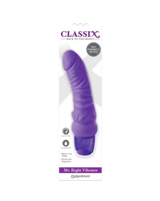 Classix VIBRATING DILDO MR. RIGHT MULTI-SPEED 15.5 CM PURPLE