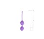 Easytoys Double Vagina Balls Silicone - Purple