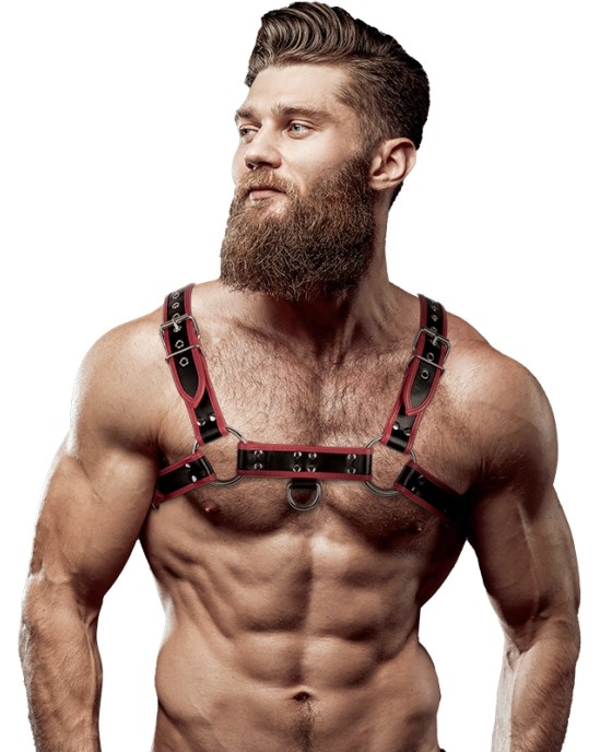 Fetish Submissive Attitude MEN'S ECO-LEATHER CHEST HARNESS BLACK/RED