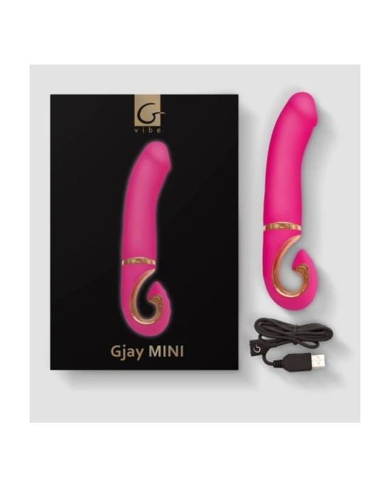 Gvibe Vibe Gjay Mini Wildberry