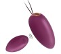 Engily Ross Garland 2.0 Vibrating Egg Remote Control USB Injected Liquified Silicone