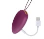 Engily Ross Garland 2.0 Vibrating Egg Remote Control USB injected Liquid Silicon