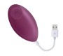 Engily Ross Garland 2.0 Vibrating Egg Remote Control USB Injected Liquified Silicone