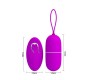 Prettylove Vibrating Egg Arvin Purple