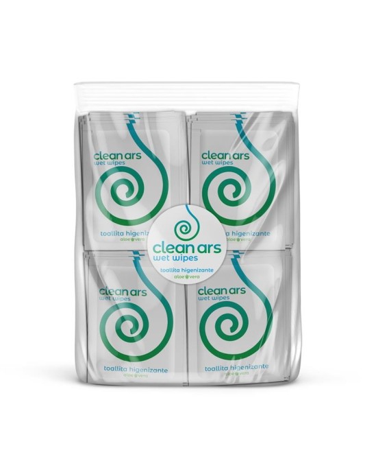 Body Ars Monodose Hygienic Wipes with Aloe Vera 100 units