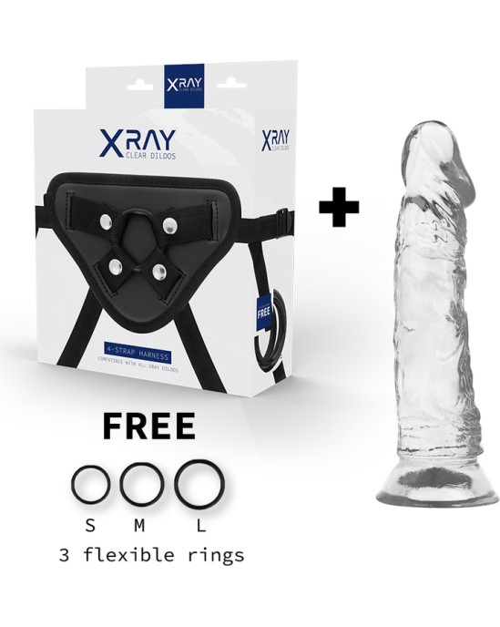 X Ray XRAY HARNESS + CLEAR COCK 19CM X 4CM