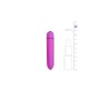 Easytoys Bullet Vibrator Purple